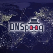 DNSpooq