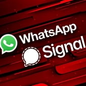 Dutch govt warns of Signal, WhatsApp account hijacking attacks Image