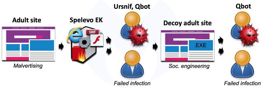 Spelevo infection chain